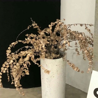 Furry文化趣味解读FurryQQ群